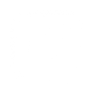Instagram accordion icon